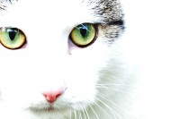 /album/www-pix-fx-de/bild-465-jpg/